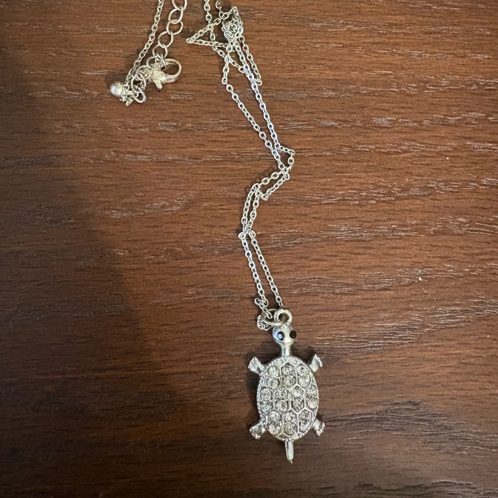 Silver Turtle Necklace